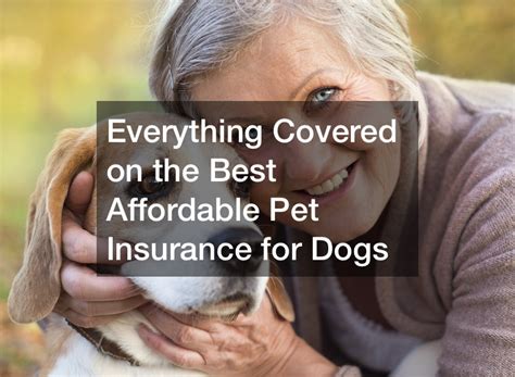 best pet insurance for older dogs uk.